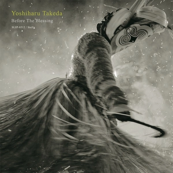 YOSHIHARU TAKEDA / 武田吉晴 / ビフォア･ザ･ブレッシング / BEFORE THE BLESSING (LP)