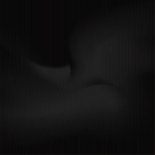 AMBROSE AKINMUSIRE / アンブローズ・アキンムシーレ / BEAUTY IS ENOUGH