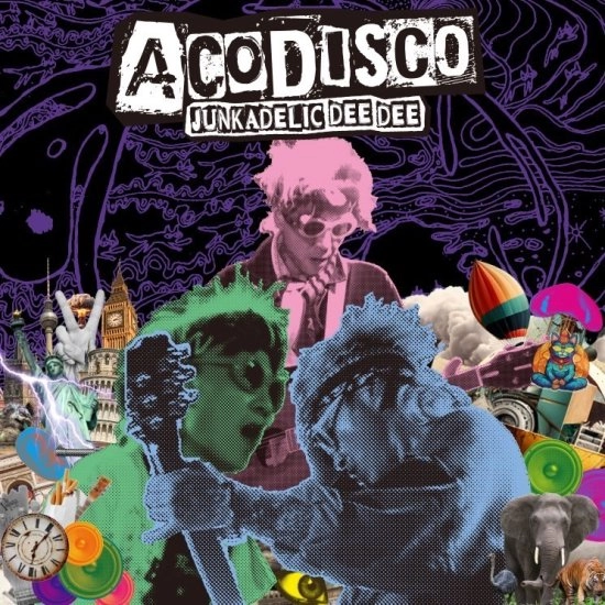 ACODISCO a.k.a. TORUxxx / JUNKADELIC DEE DEE