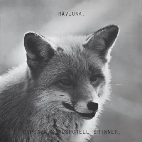 RAVJUNK / UPPSALA STADSHOTELL BRINNER - LIMITED VINYL+DVD