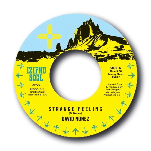 DAVID NUNEZ / STRANGE FEELING / I SEE YOUR FACE
