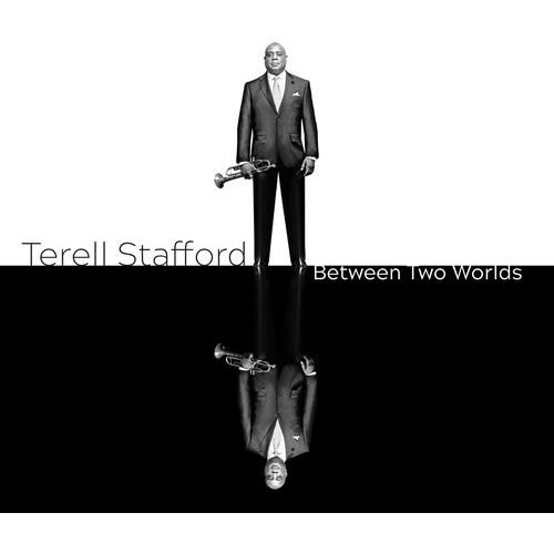 TERELL STAFFORD / テレル・スタッフォード / BETWEEN TWO WORLDS