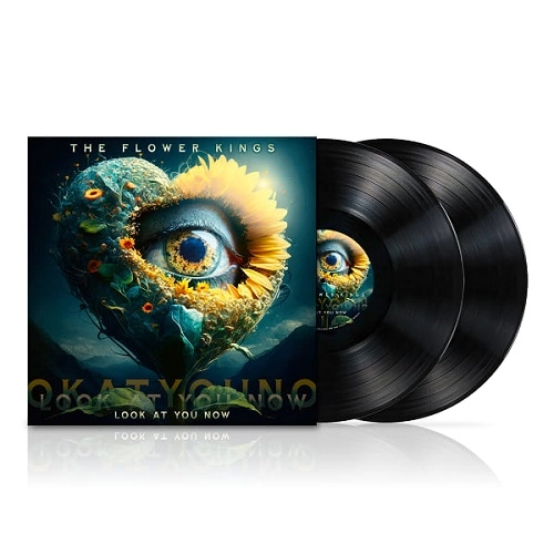 THE FLOWER KINGS / ザ・フラワー・キングス / LOOK AT YOU NOW: 180g LIMITED DOUBLE VINYL