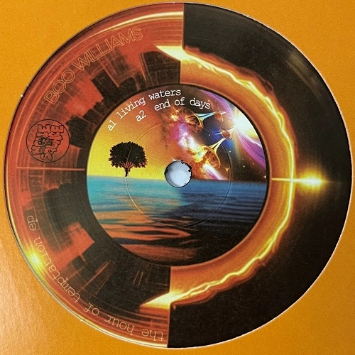 BOO WILLIAMS / ブー・ウィリアムス / HOUR OF TEMPTATION