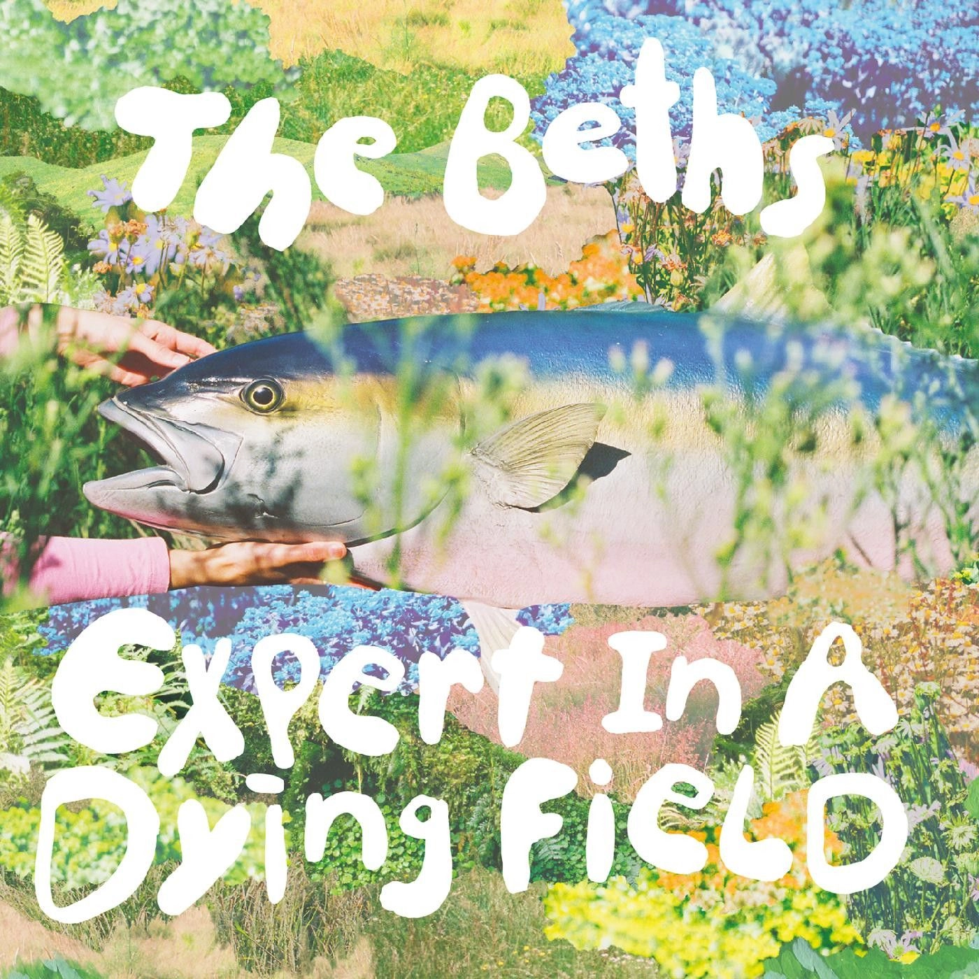 BETHS / ベス / EXPERT IN A DYING FIELD (DELUXE)