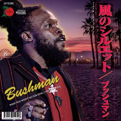 BUSHMAN / ブッシュマン / WHAT YOU WON'T DO FOR LOVE