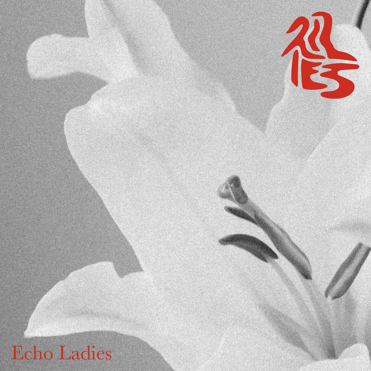 ECHO LADIES / LILIES (VINYL)