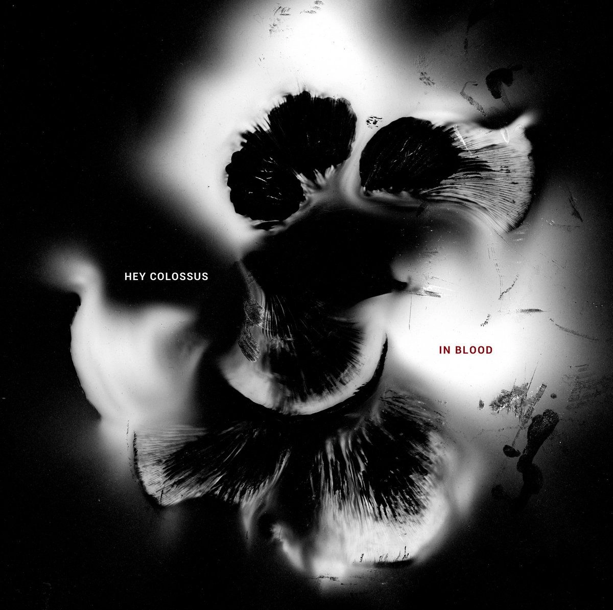 HEY COLOSSUS / IN BLOOD (CD)