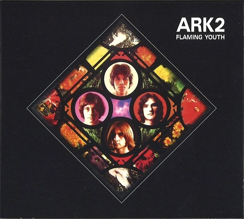 FLAMING YOUTH / フレイミング・ユース / ARK 2