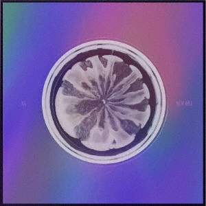 XG / NEW DNA(A)