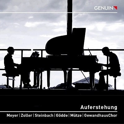 GREGOR MEYER / グレゴール・マイヤー / マーラー：交響曲第2番（室内楽版）