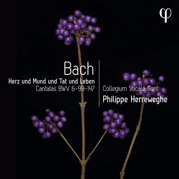 PHILIPPE HERREWEGHE / BACH:HERZ UND MUND UND TAT UND LEBEN