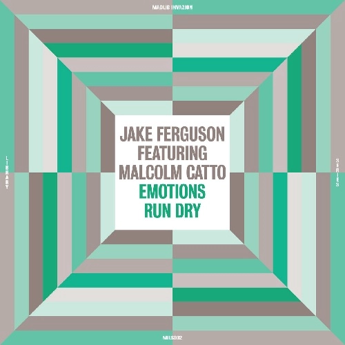 JAKE FERGUSON / EMOTIONS RUN DRY