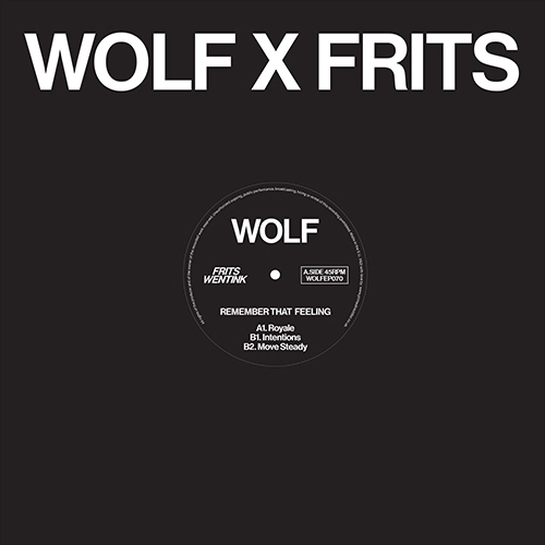 FRITS WENTINK / REMEMBER THAT FEELING