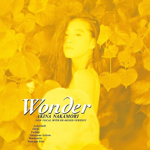 AKINA NAKAMORI / 中森明菜 / Wonder