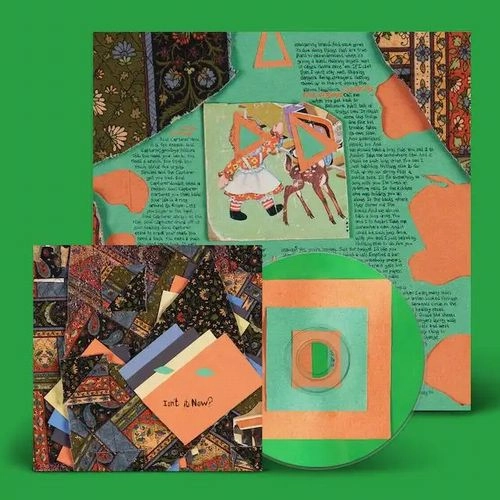 ANIMAL COLLECTIVE / アニマル・コレクティヴ / ISN'T IT NOW? (CD)