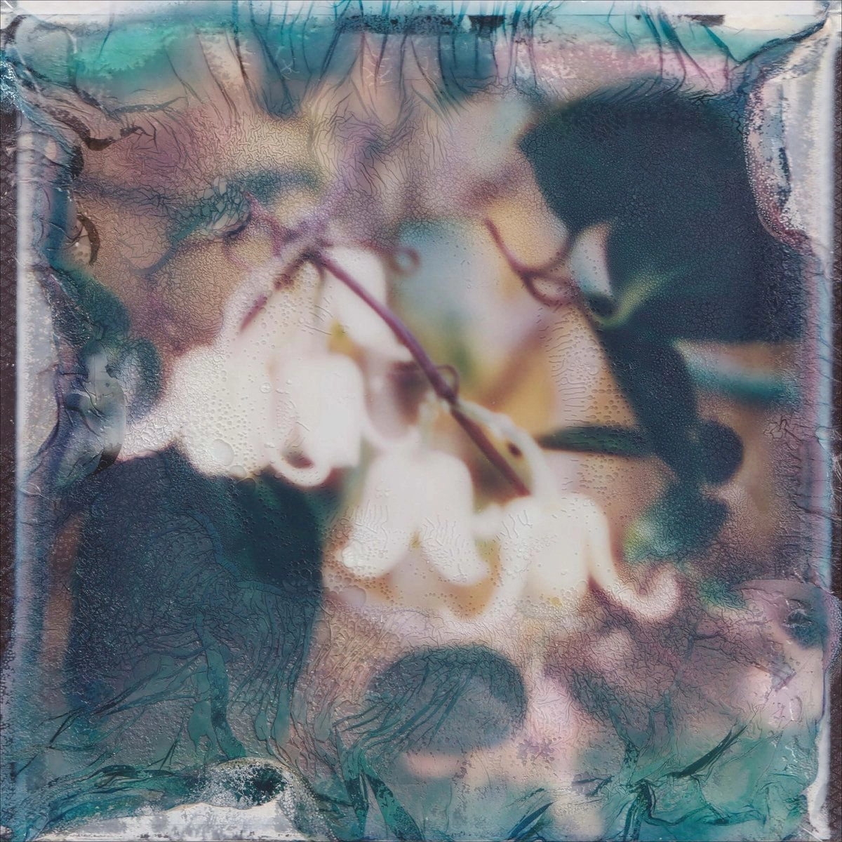 SVITLANA NIANIO & TOM JAMES SCOTT / EYE OF THE SEA