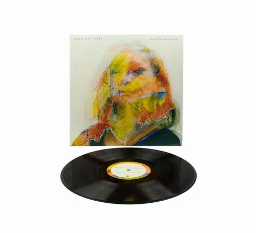 BRIGID MAE POWER / DREAM FROM THE DEEP WELL (LP)