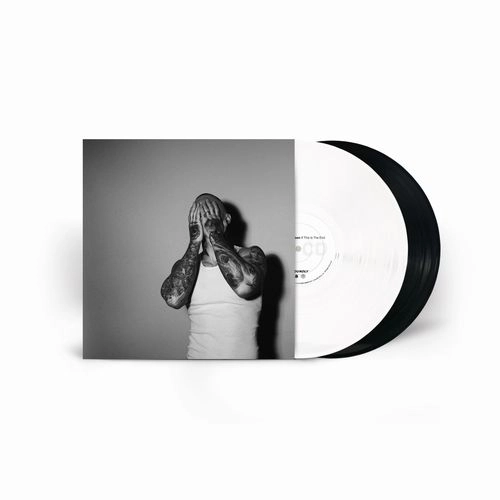 NOAH GUNDERSEN / ノア・ガンダーセン / IF THIS IS THE END (VINYL)