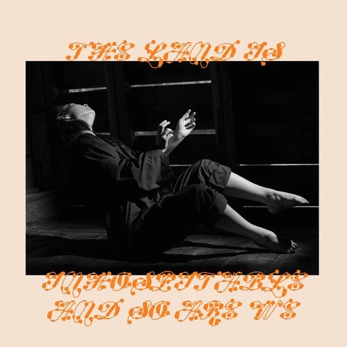 MITSKI / ミツキ / THE LAND IS INHOSPITABLE AND SO ARE WE (COLOUR VINYL SLEEVE CASE)