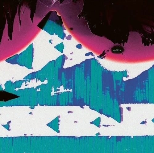 SHACKLETON & WACLAW ZIMPEL / IN THE CELL OF DREAMS(国内仕様盤LP)