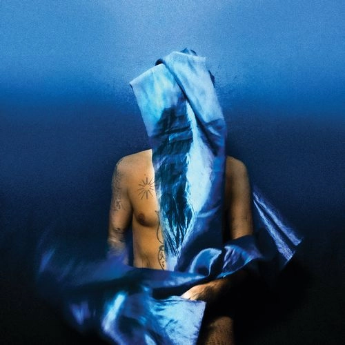 DEVENDRA BANHART / デヴェンドラ・バンハート / FLYING WIG (CD)