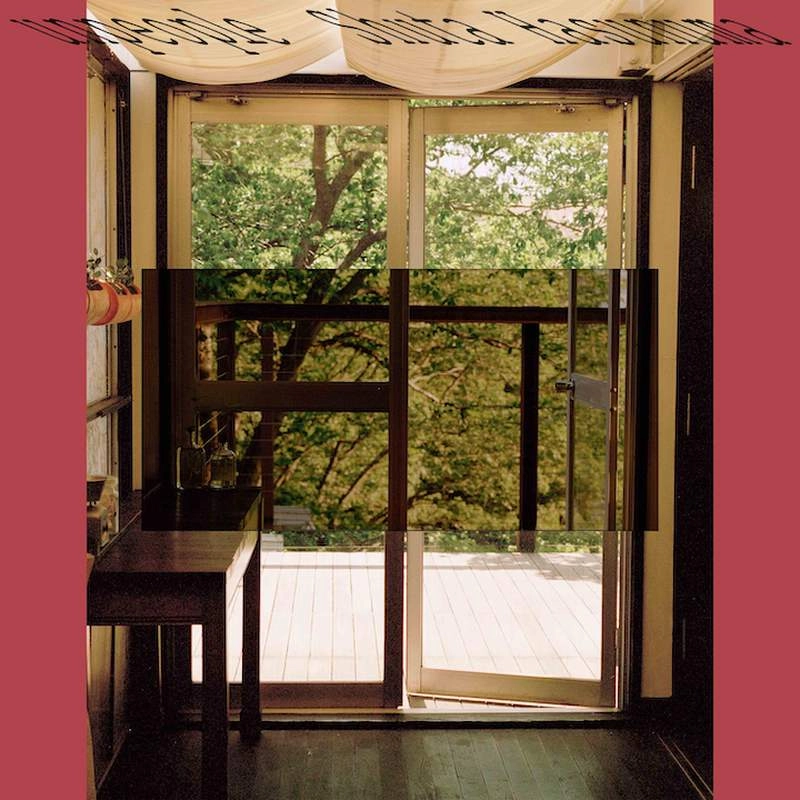 SHUTA HASUNUMA / 蓮沼執太 / アンピープル（2LP）