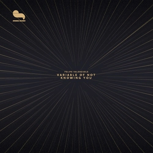 FELIPE VALENZUELA / VARIABLE OF NOT KNOWING YOU