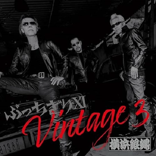 T.C.R. 横浜銀蝿R.S. / ぶっちぎりXI Vintage 3