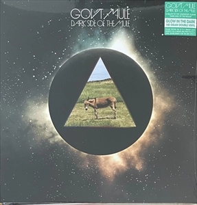 GOV'T MULE / ガヴァメント・ミュール / DARK SIDE OF THE MULE