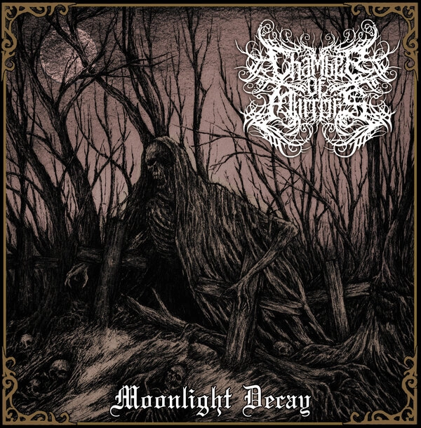 CHAMBER OF MIRRORS / MOONLIGHT DECAY<GOLD VINYL>