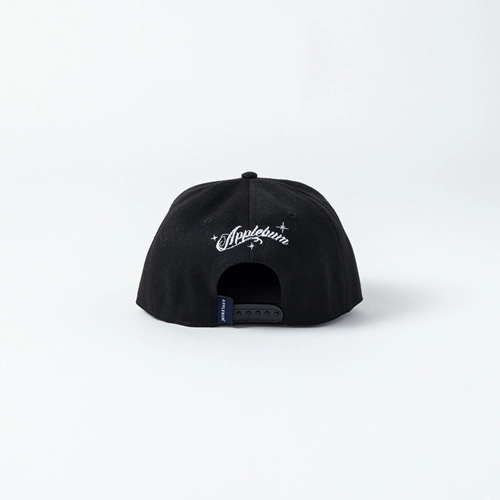 DR. DRE / ドクター・ドレー / Chronic BB Cap [Black]