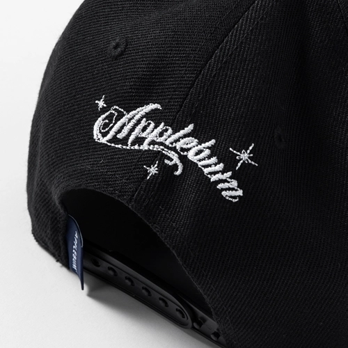 DR. DRE / ドクター・ドレー / Chronic BB Cap [Black]