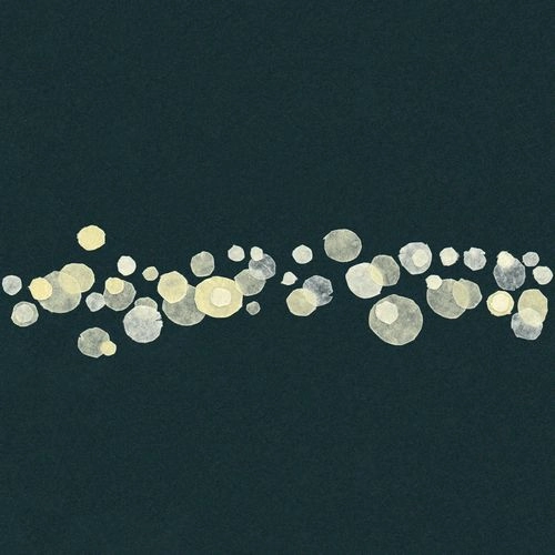 tAk / マーマレイション / MURMURATIONS