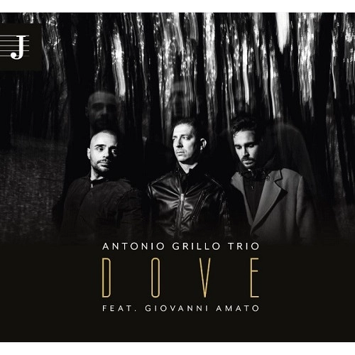 ANTONIO GRILLO / DOVE