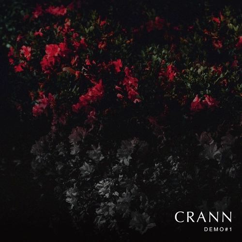 CRANN / DEMO#1