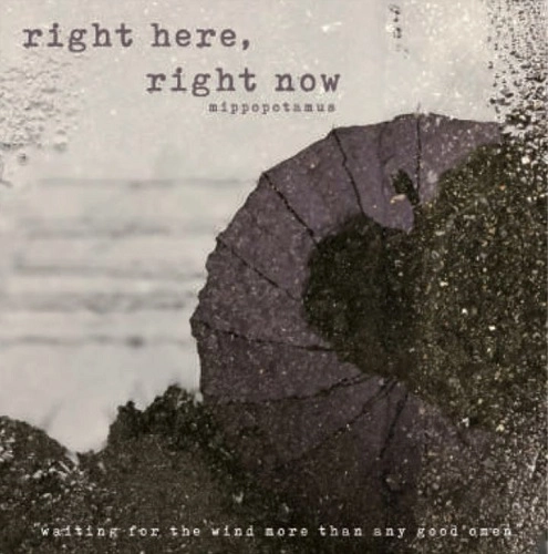 mippopotamus / right here, right now