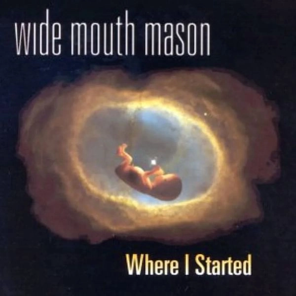 WIDE MOUTH MASON / WHERE I STARTED (VINYL)