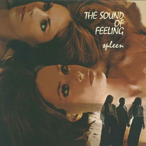 SOUND OF FEELING / サウンド・オブ・フィーリング / スプリーン（紙ジャケット） / SPLEEN