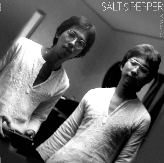 TWIN COSMOS / Salt & Pepper（LP）
