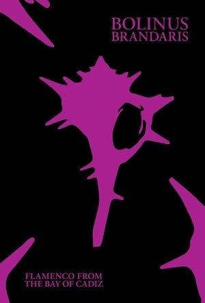 V.A. (BOLINUS BRANDARIS) / オムニバス / BOLINUS BRANDARIS: FLAMENCO FROM THE BAY OF