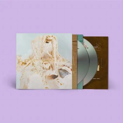 PALE SAINTS / ペイル・セインツ / IN RIBBONS (CD)