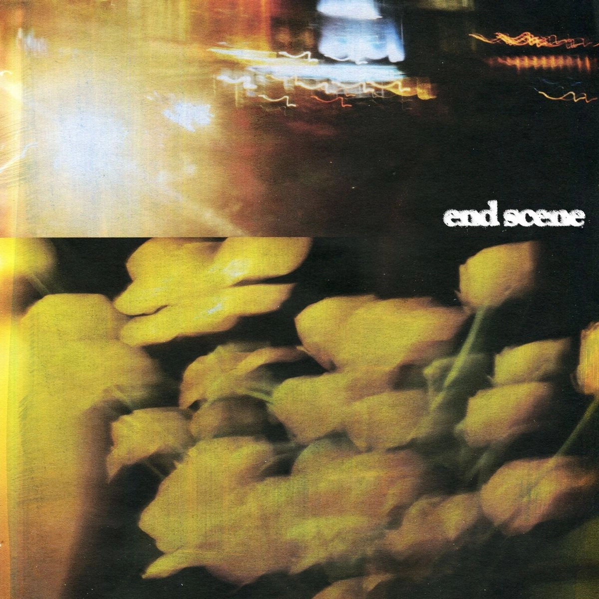 SHE'S IN PARTIES / END SCENE (VINYL)