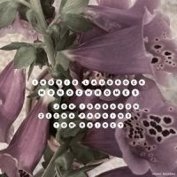 INGRID LAUBROCK / イングリッド・ラブロック / MONOCHROMES