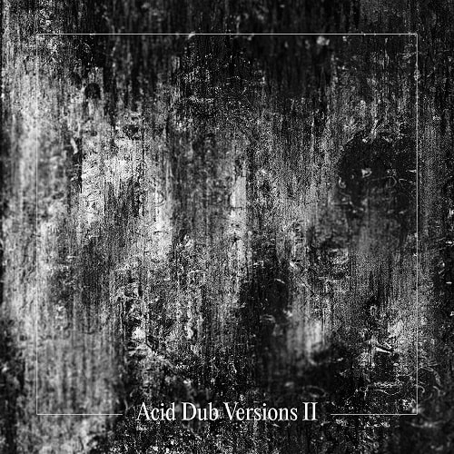 OM UNIT / ACID DUB VERSIONS II