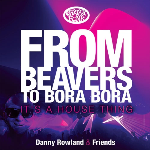 V.A. (CHILLIFUNK) / FROM BEAVERS TO BORA BORA IT'S A HOUSE THING (LP)