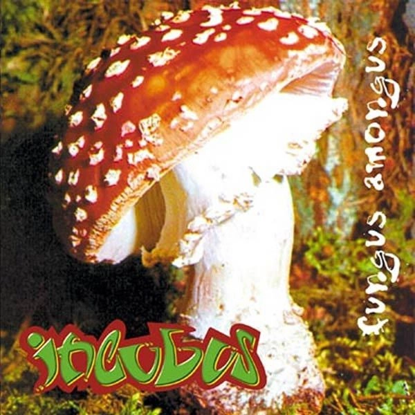 INCUBUS / インキュバス / FUNGUS AMONGUS (VINYL)