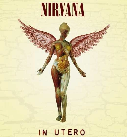 NIRVANA / ニルヴァーナ / IN UTERO (30TH ANNIVERSARY 8LP SUPER DELUXE)