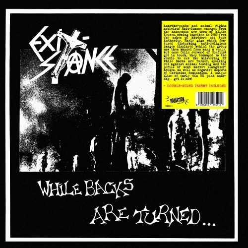EXIT STANCE / イグジットスタンス / WHILE BACKS ARE TURNED... (LP)