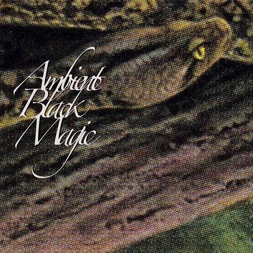 RAINFOREST SPIRITUAL ENSLAVEMENT / レインフォレスト・スピリチュアル・エンスレイヴメント / AMBIENT BLACK MAGIC